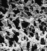 VSWP01300 MF-Millipore亲水表面滤膜，MCE，0.025um, 13mm