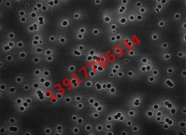 TETP01300 Millipore聚碳酸酯8um亲水13mm白色光面生物分析表面滤膜 TETP01300 Millipore聚碳酸酯8um亲水13mm白色光面生物分析表面滤膜
