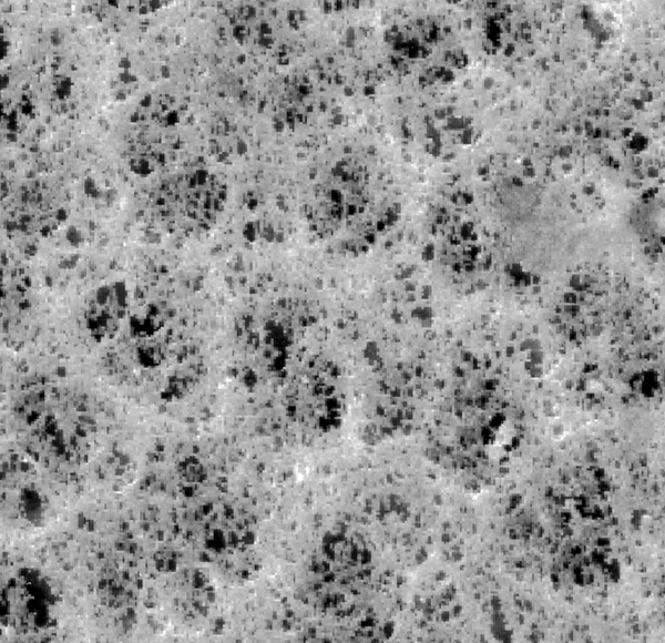 美国Millipore PVC白色光面5.0um表面滤膜 美国Millipore PVC白色光面5.0um表面滤膜