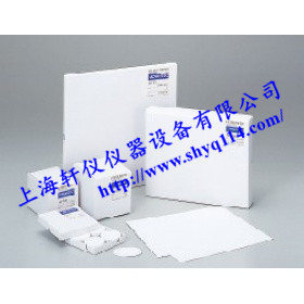 日本TOYO Advantec DP-70玻璃纤维滤纸 日本TOYO Advantec DP-70玻璃纤维滤纸