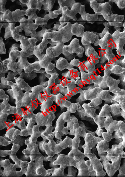 AG4502550 Millipore 0.45um*25mm亲水光面银膜